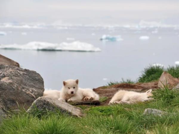 Greenland holiday