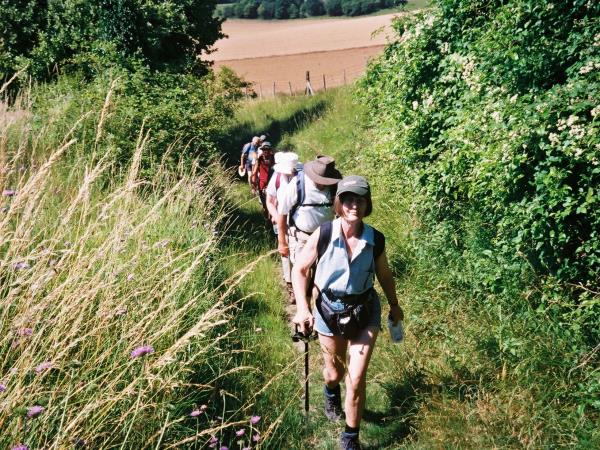 The North Downs Way hiking vacation