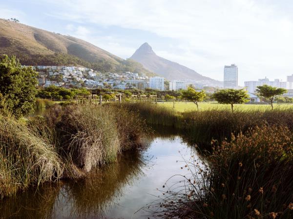 South Africa luxury tour, winelands & wildlife