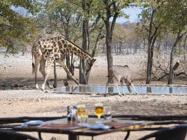 Namibia safari and vacation