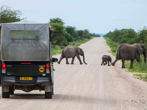 Namibia safari and vacation