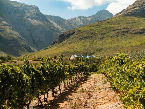 South Africa honeymoon vacation