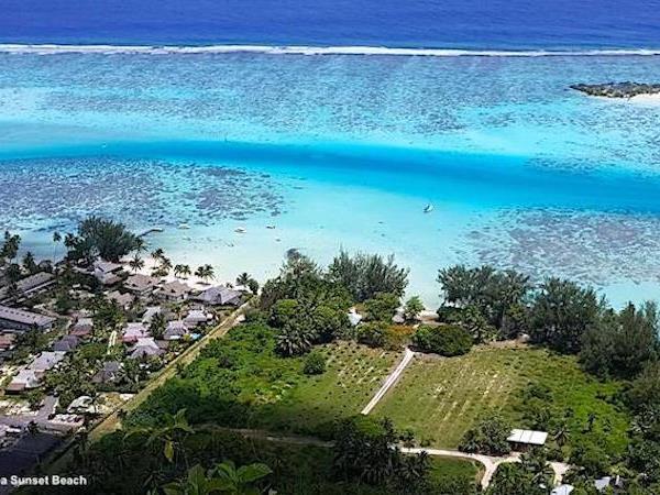 Swim with humpback whales in Tahiti