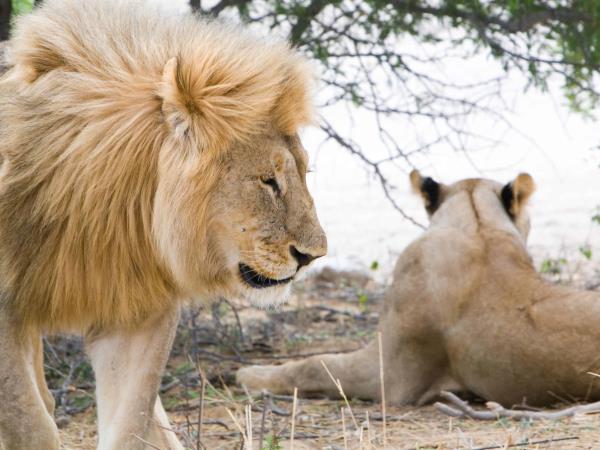 Privately guided Namibia vacation