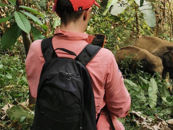 Thailand family volunteering with elephants