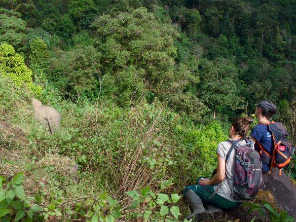 Thailand family volunteering with elephants