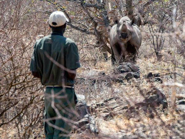 Namibia tours under canvas small group safari