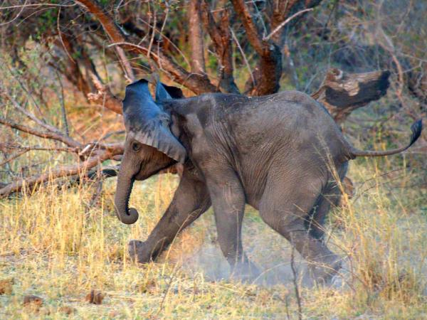 Namibia tours under canvas small group safari