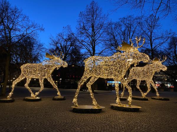 Christmas markets vacation in Sweden