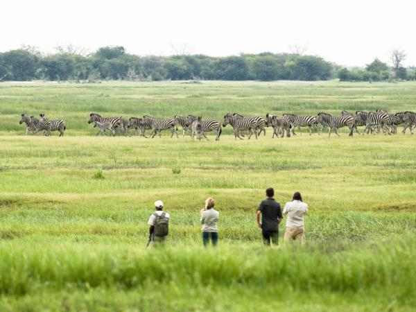 Namibia and Botswana self drive vacation