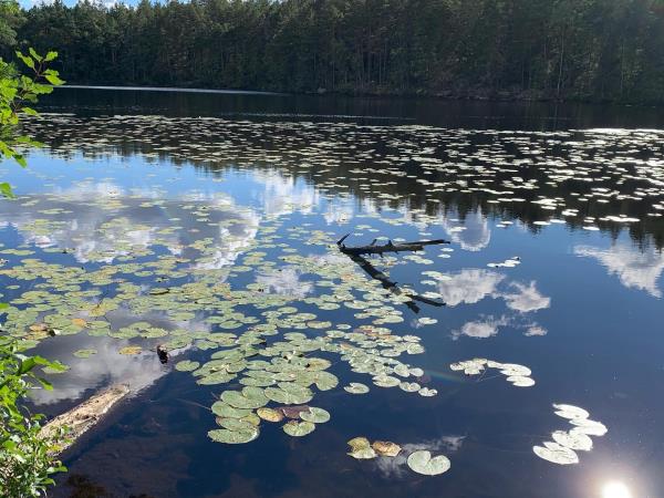 Sweden vacations, self guided canoeing