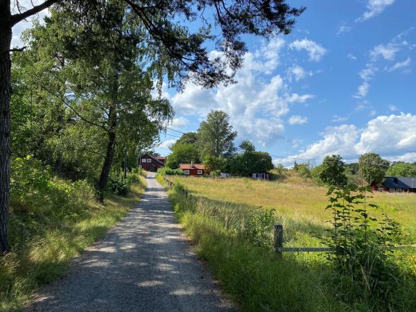 Luxury cycling vacation in Sweden