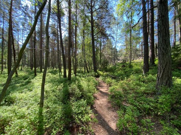 Sweden hiking vacation, self guided