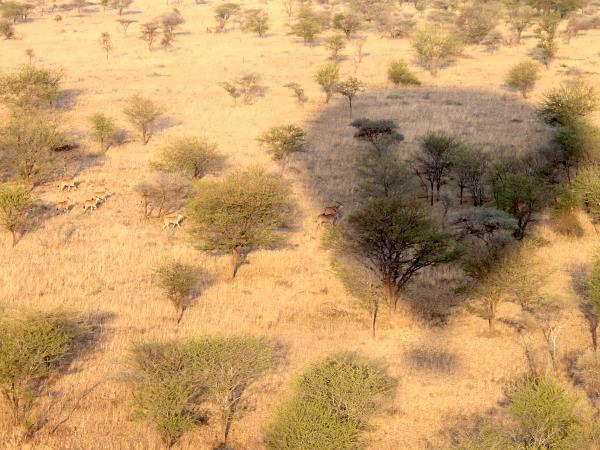 Women only safari in Tanzania