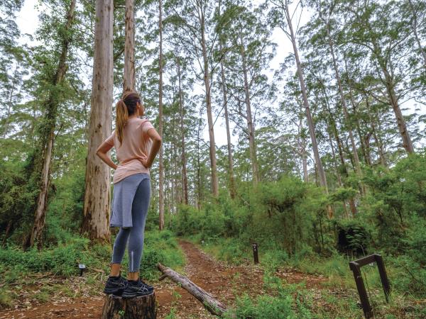 Western Australia adventure tour