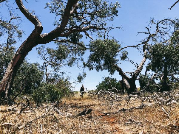 Eyre Peninsula tours in South Australia