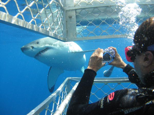 Eyre Peninsula tours in South Australia