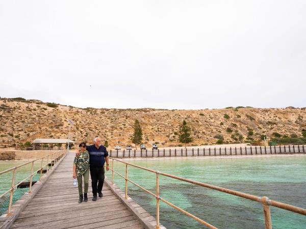 Whale watching tour in South Australia