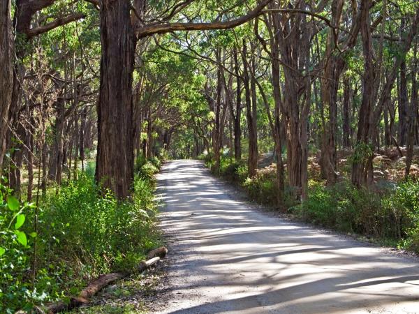 South Australia yoga retreat near Adelaide