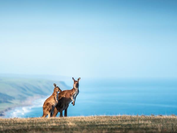 South Australia yoga retreat near Adelaide