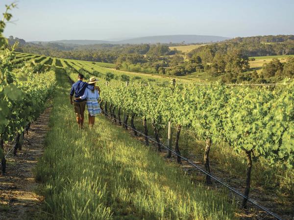 Margaret River food & wine tour
