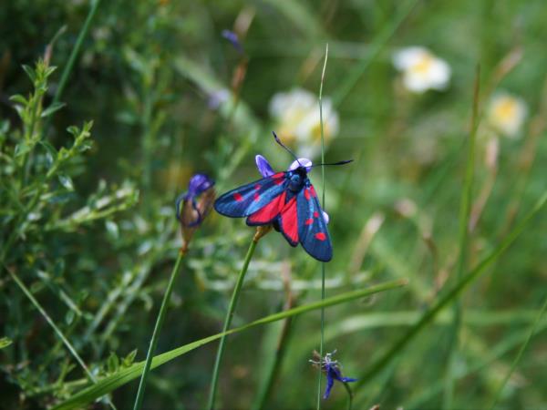 Wellness and yoga vacations in the Pyrenees