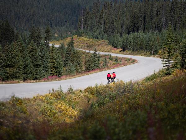 Icefields Parkway cycling vacation in Canada