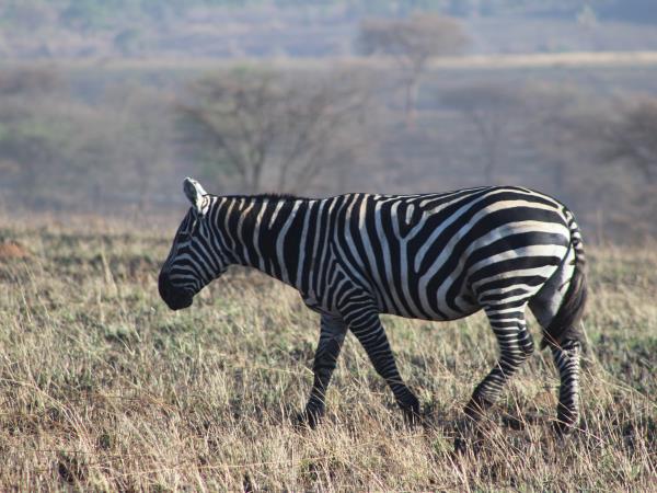 2 weeks in Uganda vacation
