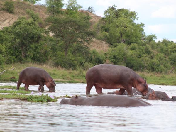 2 weeks in Uganda vacation