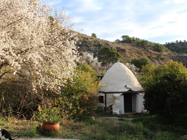 Hatha yoga retreat in Spain