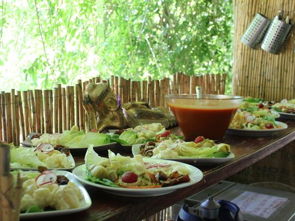 Hatha yoga retreat in Spain