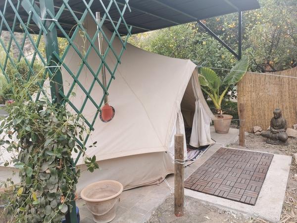 Hatha yoga retreat in Spain