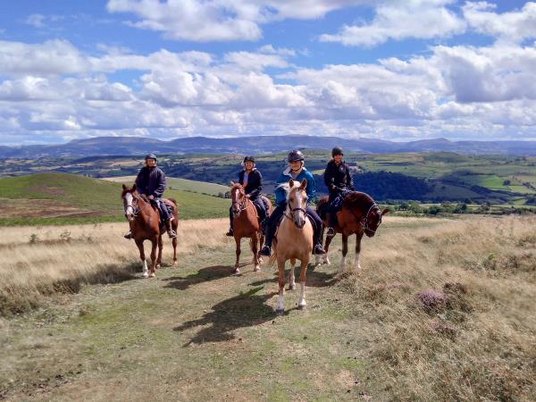 Horseriding short break, Wye Valley