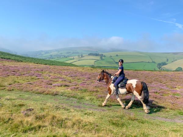 Horseriding short break, Wye Valley