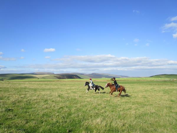 Horseriding short break, Wye Valley