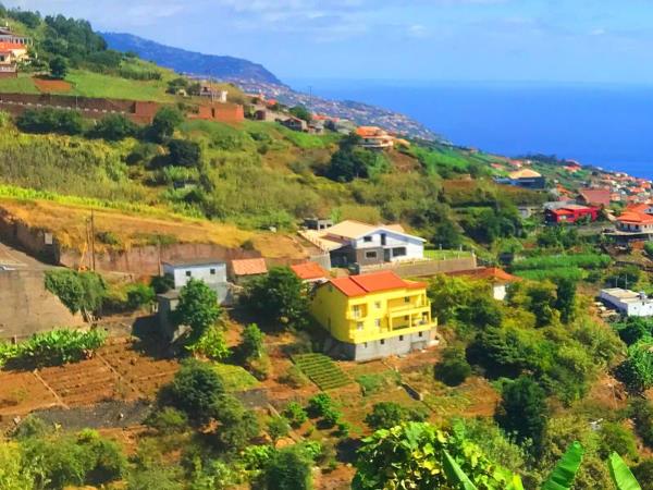 Madeira self drive vacation