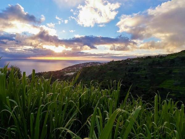Madeira self drive vacation