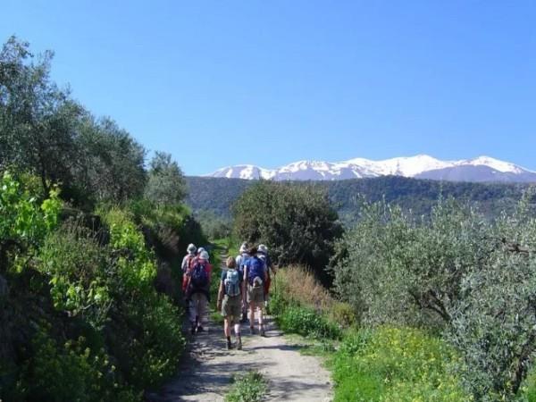Crete self drive vacations