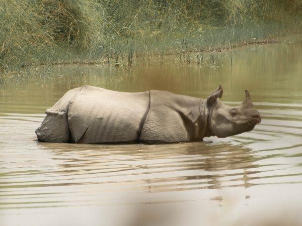 Nepal homestay vacation in Bardiya National Park
