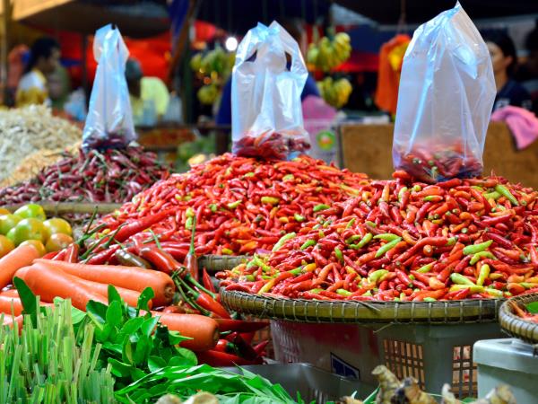 Borneo culture, nature & wildlife tour