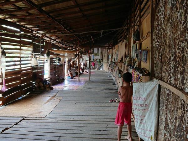 Borneo culture, nature & wildlife tour