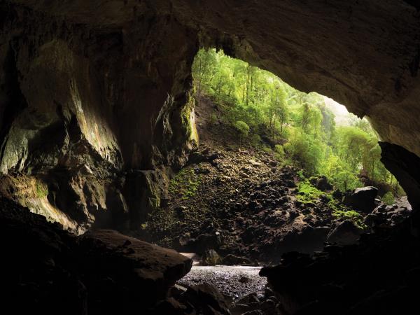 Borneo culture, nature & wildlife tour