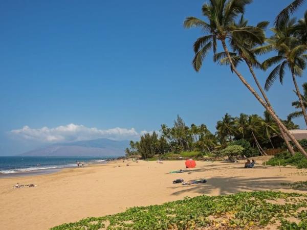 Hawaii self drive tour