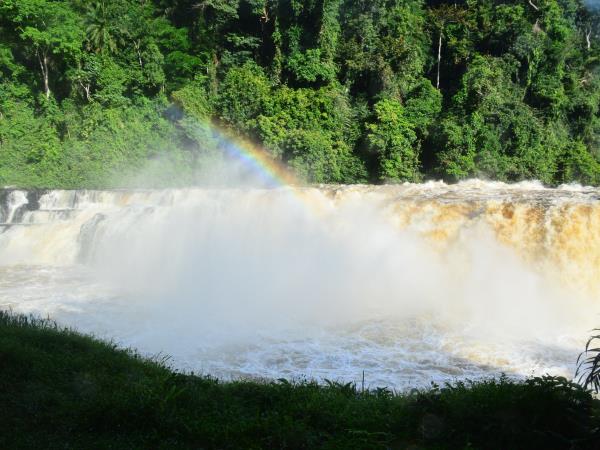 Gabon wildlife safari