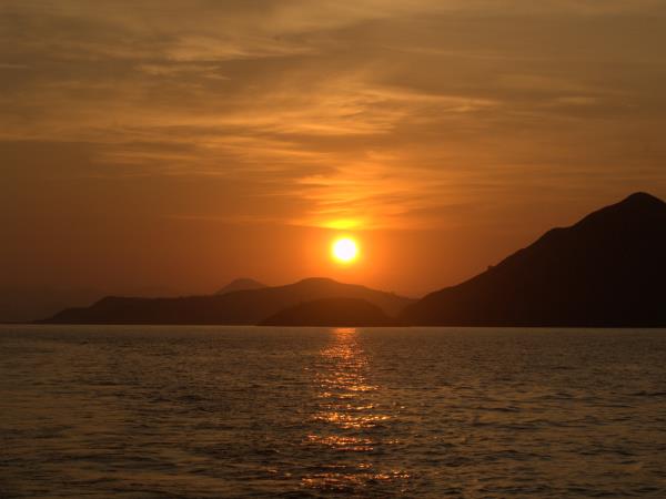 Indonesia wildlife tour, dragons & manta rays