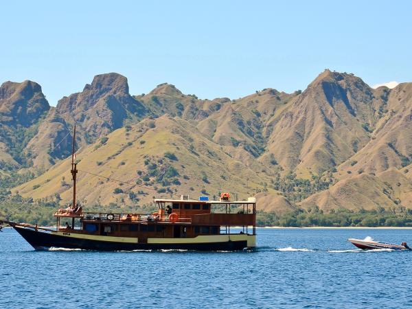 Indonesia wildlife tours, Sumatra and Komodo