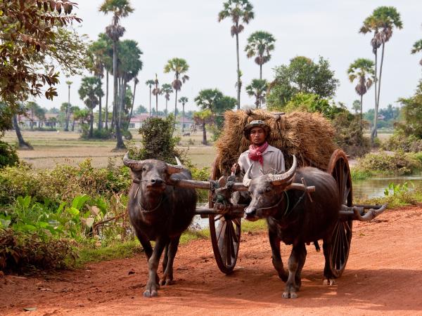 Cambodia history and culture vacation