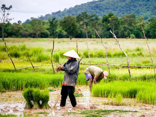 Laos & Cambodia Highlights tour