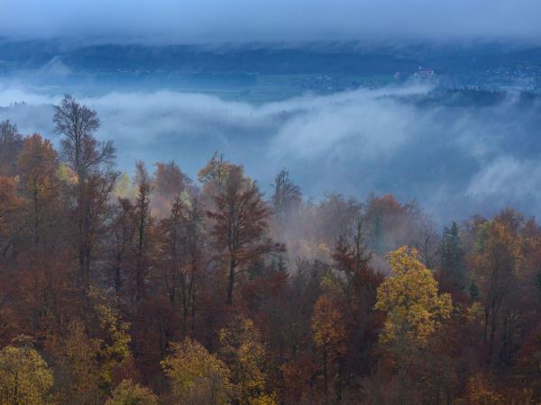 Slovenia photography vacation