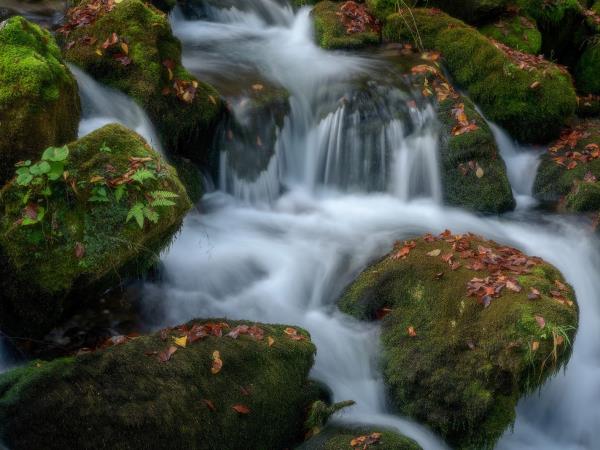 Slovenia photography vacation